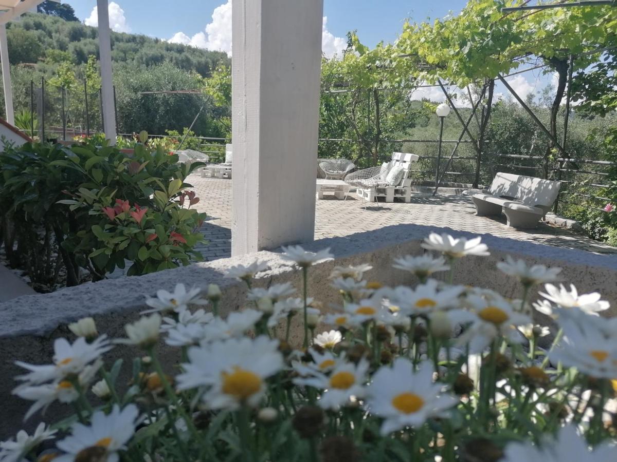 Agriturismo Valle Dei Gelsi 페스키치 외부 사진
